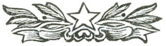 Stylized chapter break graphic