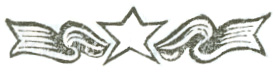 Stylized section break graphic