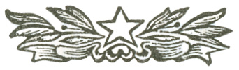 Stylized chapter break graphic